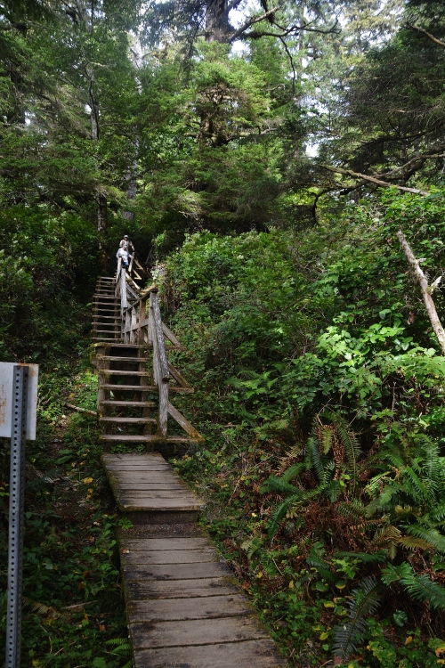boardwalk to beach